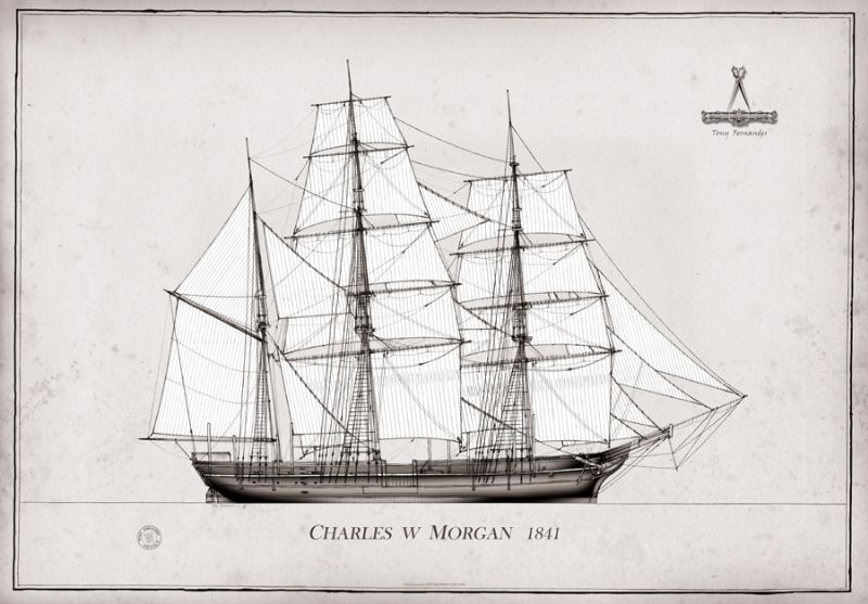 1841 Charles W Morgan pen ink study by Tony Fernandes